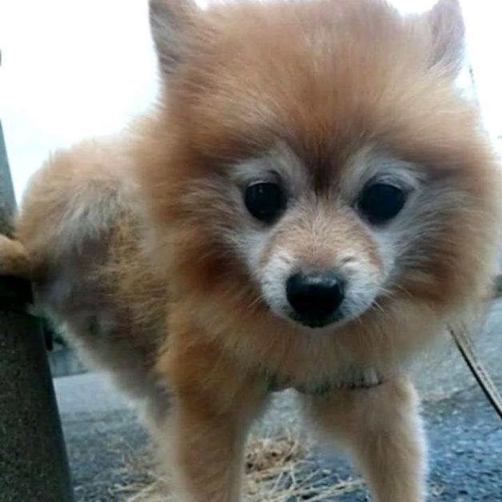 3a591775 4a4e 48e8 aa25 7e09f5c03ca2 1537915727629