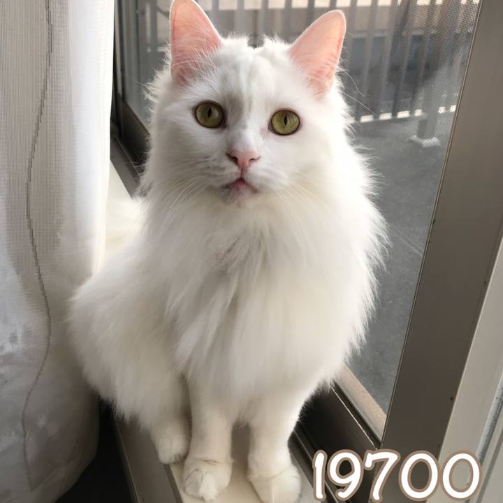 3a593120 ecb1 435d bc35 336281c81ff8 1553089433104