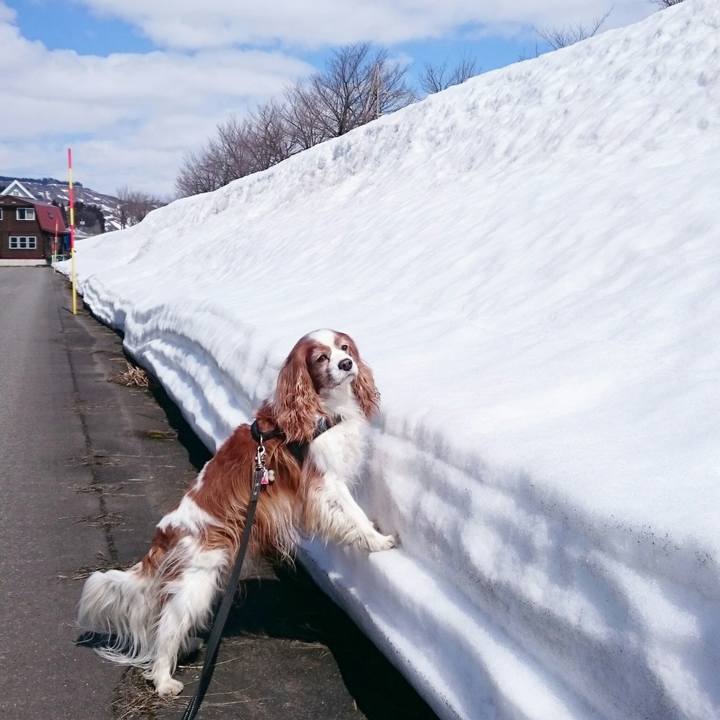 3a593228 b6f4 4d21 8125 b81fc57f4c83 1521254042943