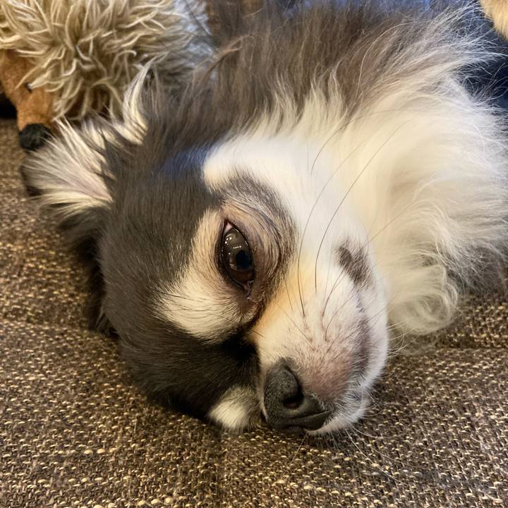 3a59528a f502 4aee b7b0 5e6c7d250d30 1708693936056