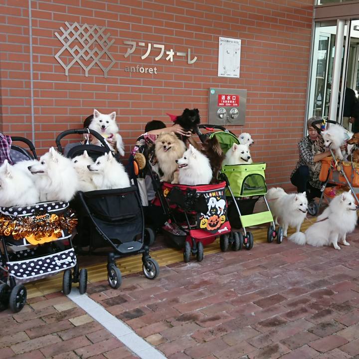 3a59c35a c778 47c9 826f 76aa56fb4e76 1539508938490