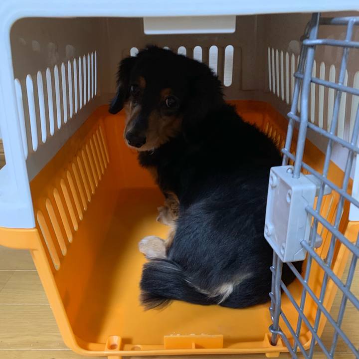 3a5a2499 4f41 427b a6df 5d10fff22436 1546853480076