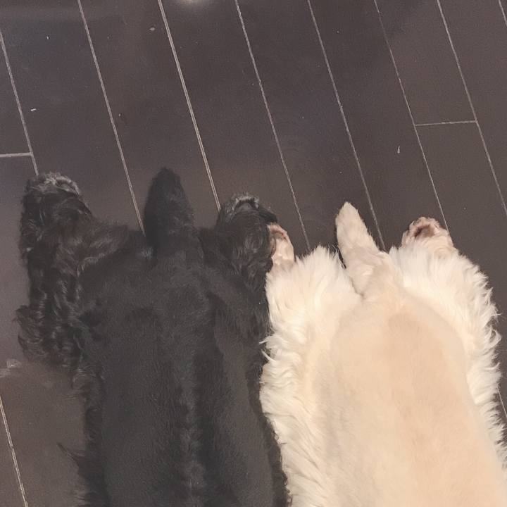 3a5a27da cfa8 4f2f bb9e fd86208688d6 1573539042369