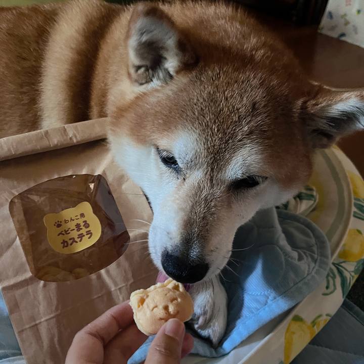 3a5a31ac a149 49a7 99eb 024f9cb3e8be 1691129006087