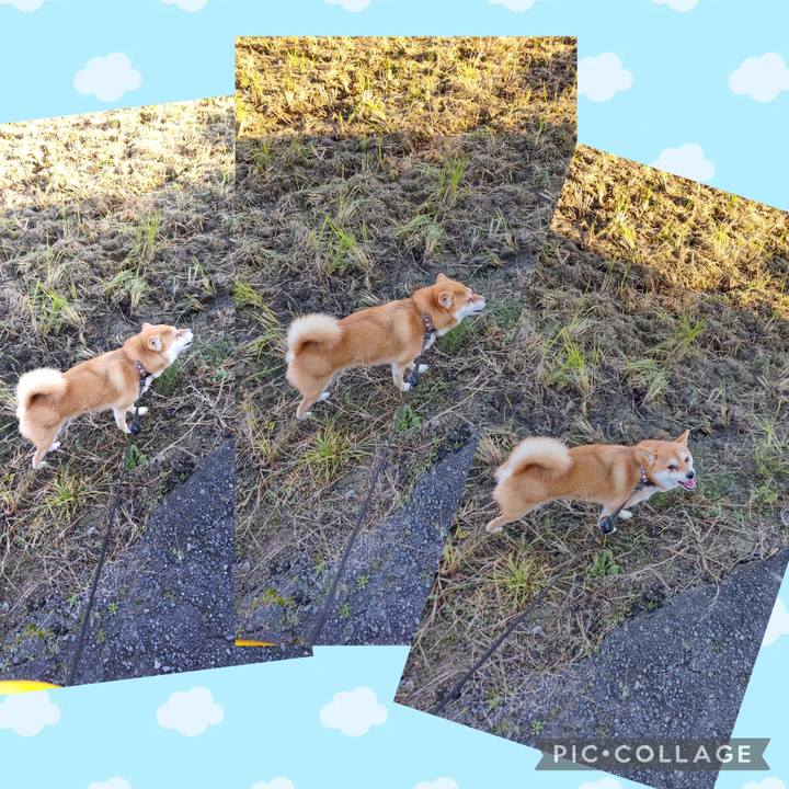 3a5a3a97 170a 42ec 975b cce849688fd5 1732150757556