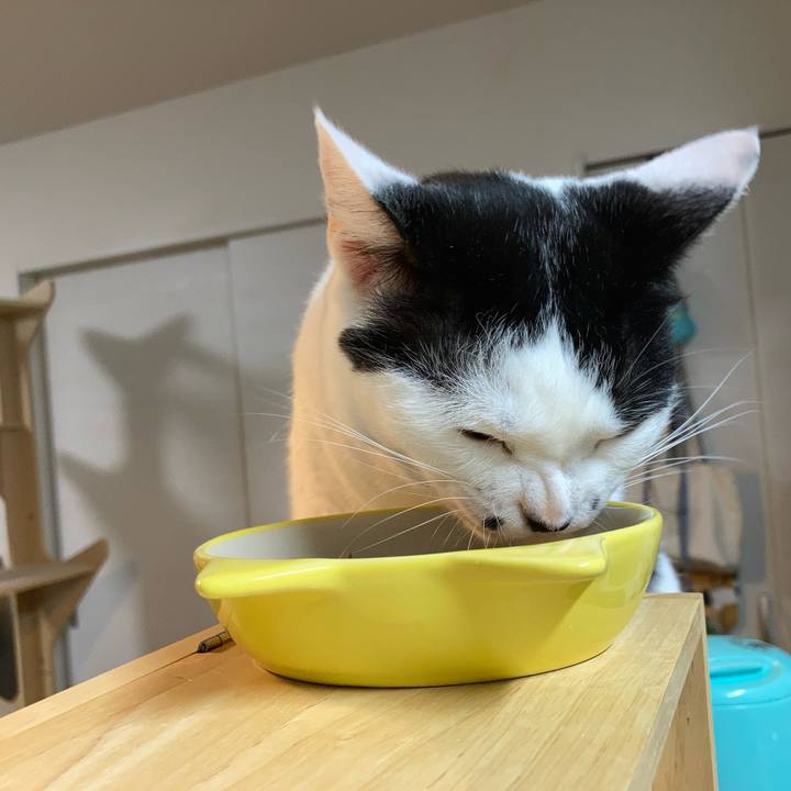 3a5a569f 85ab 44b2 9d49 786603457460 1757450881104