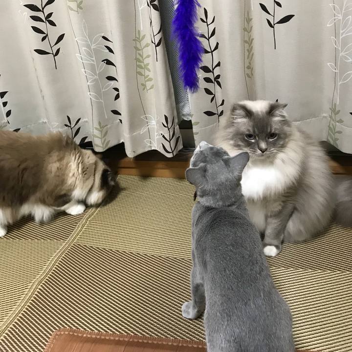 3a5a5bd3 3d38 44f6 aa99 47ec86b65c90 1519308731961