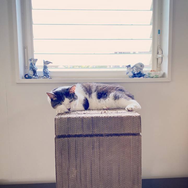 3a5ac2e0 4f89 4349 85cf 0623897e51e2 1592877469271