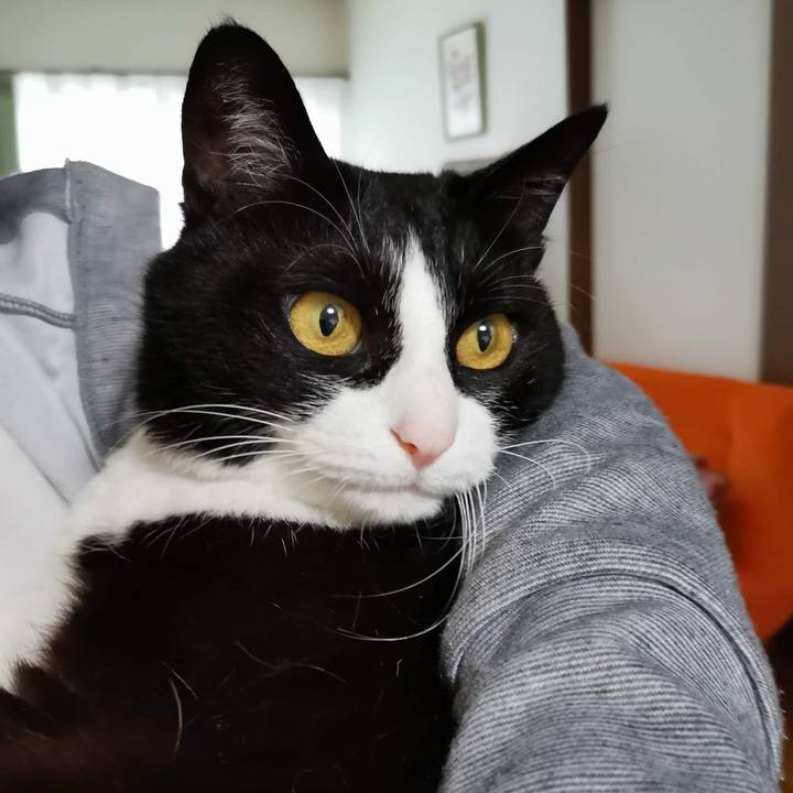 3a5b6586 9682 4135 84b1 ee82a39d2629 1684898772995