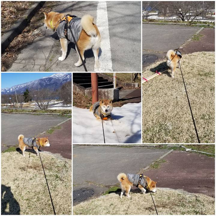 3a5b75c1 2a26 4254 b53f 9ba61879510b 1679204697469