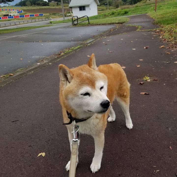 3a5b7964 871e 4c77 b8c9 64b8a7c32d46 1696901954401