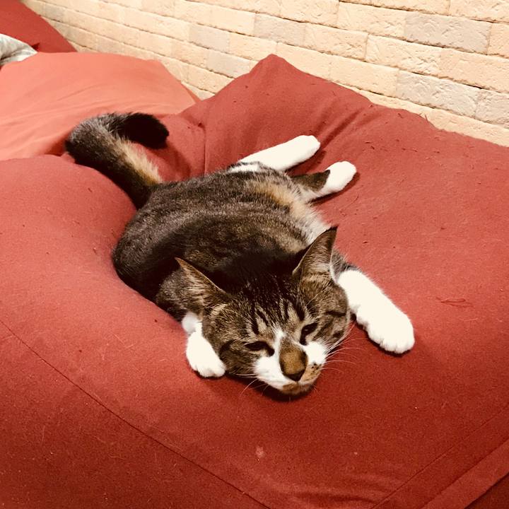 3a5b7a77 e899 4a54 be18 995d69dc785b 1525270100956