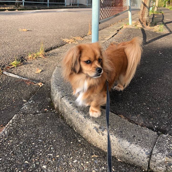 3a5b7dd0 8322 4bf1 81d1 70a0b75ad248 1539990641316