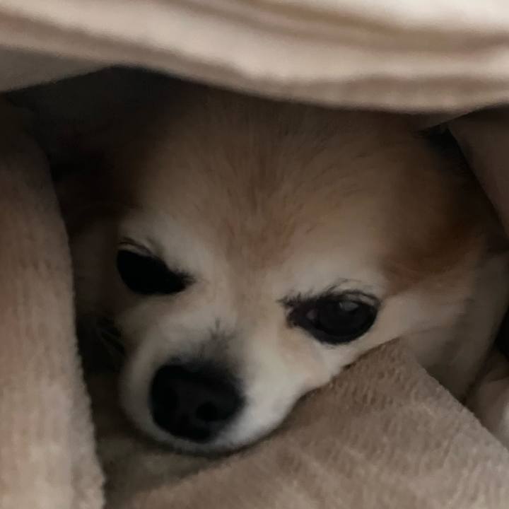 3a5b9181 7ba5 4e38 9a2f 95aa058b52a3 1771491444582