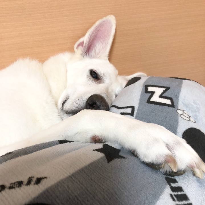 3a5bcaf3 fa68 4392 b0fe 8aeb8b19b16a 1557933252728