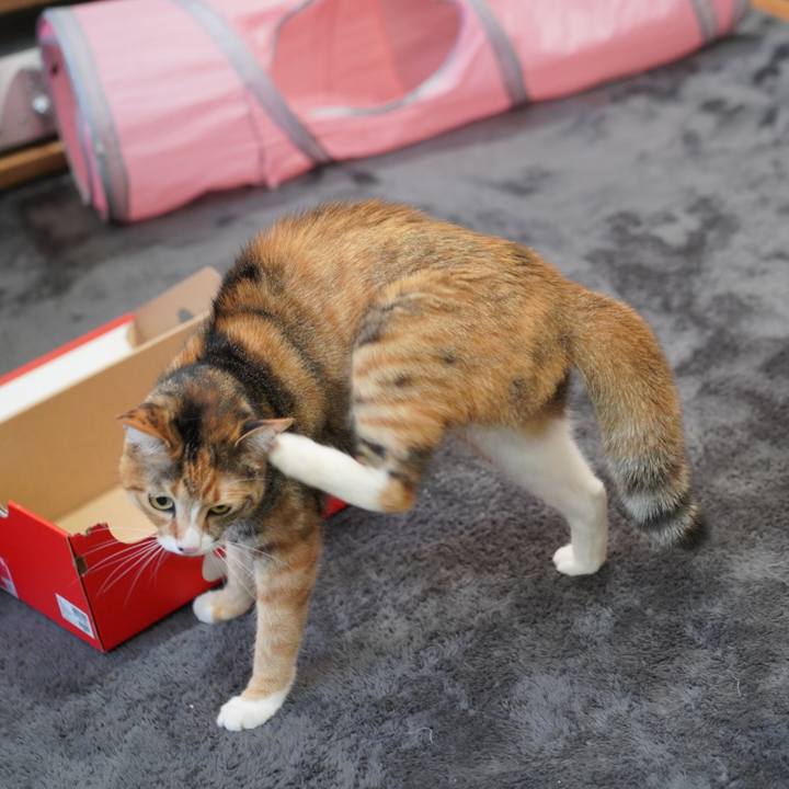 3a5bd2d3 e2ea 472e bc49 958ccce18d87 1650016417759