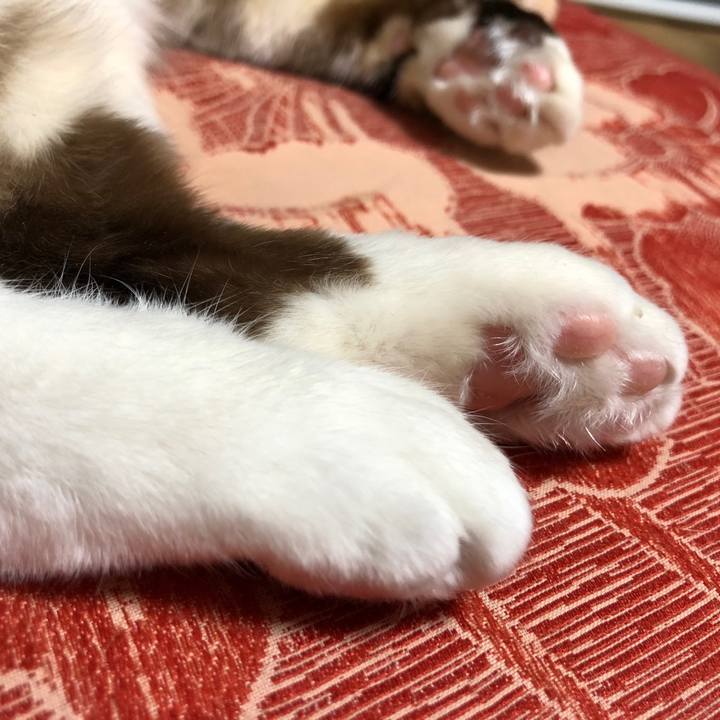 3a5bd6ec f296 49f5 a93a c15859dfc995 1774979396582