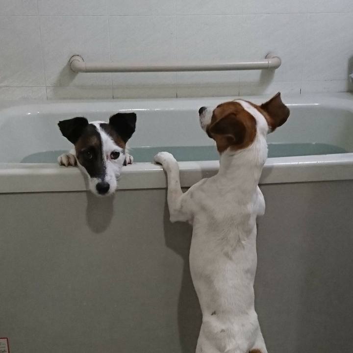 3a5be1d9 6166 4f35 8804 94072ada1a80 1558266645250