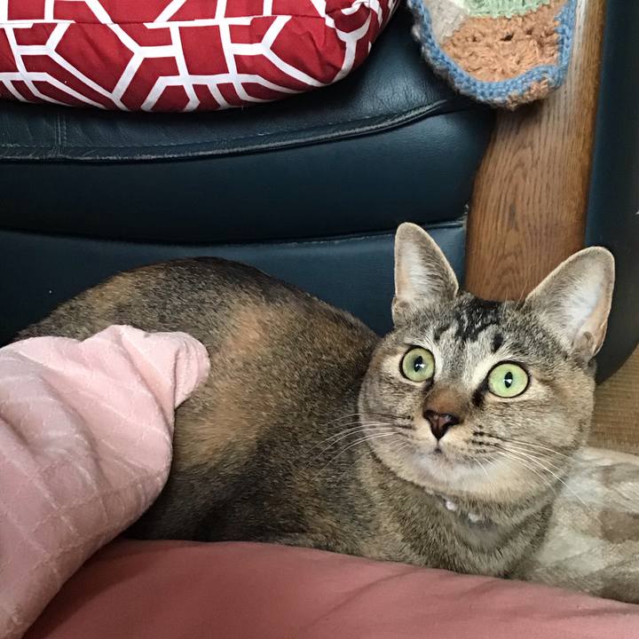 3a5bf992 9a16 498d afb8 8db403b1b85a 1581204968438