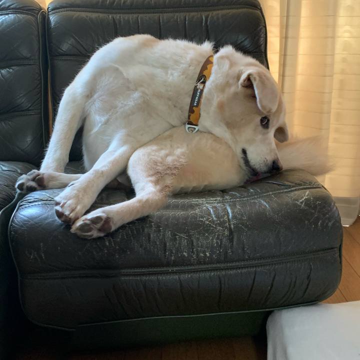 3a5c01bf f9cd 4cdd ba2e 75e095fef76f 1598155375781