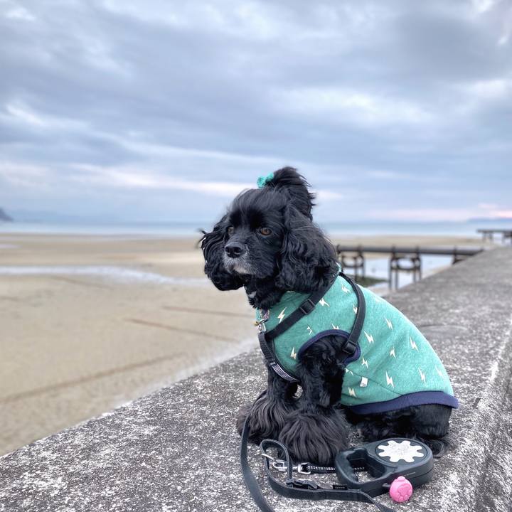 3a5c079c 44ed 49c3 8003 20fda0f47715 1579876366345