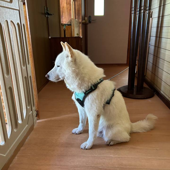 3a5c1b03 fe52 4edc a40a 6dbfed99b75c 1690278501901