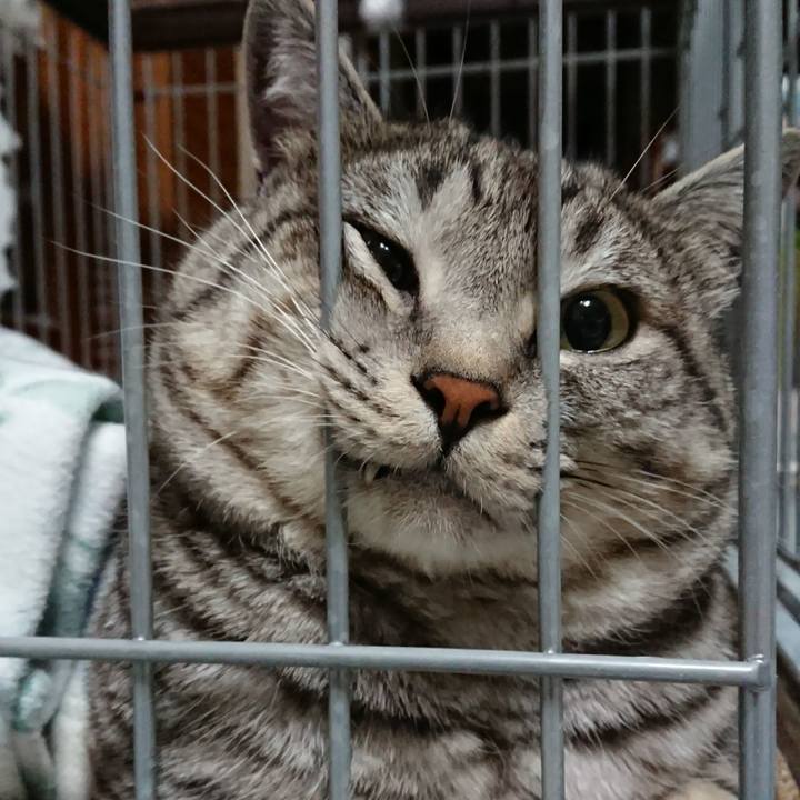 3a5c2a4a 9b9f 418d 9a58 295e508d8820 1513856934820