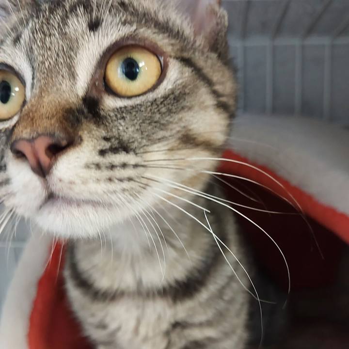 3a5c453b 51f6 4346 8a8f 6945697e379a 1705466228253