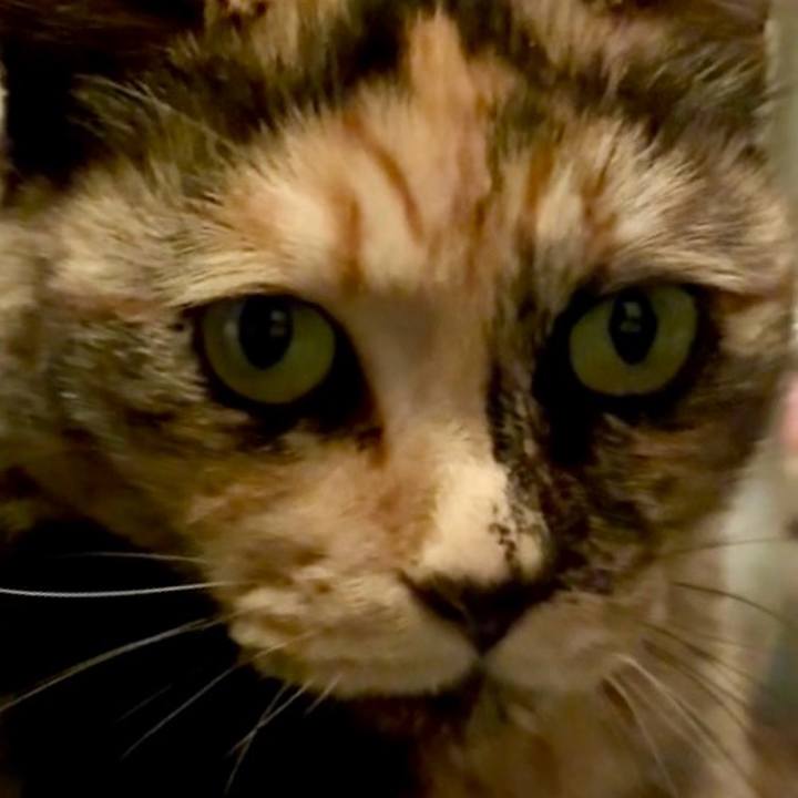 3a5c6fec fe9d 4803 9e68 ac68428ef524 1748460998461