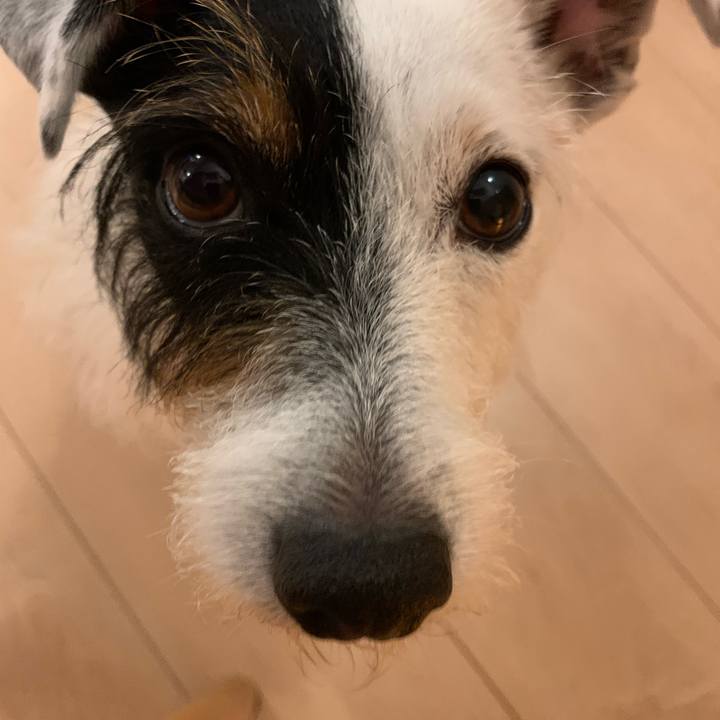 3a5c8e1a 285f 4208 84b8 b619239103cf 1627472098435