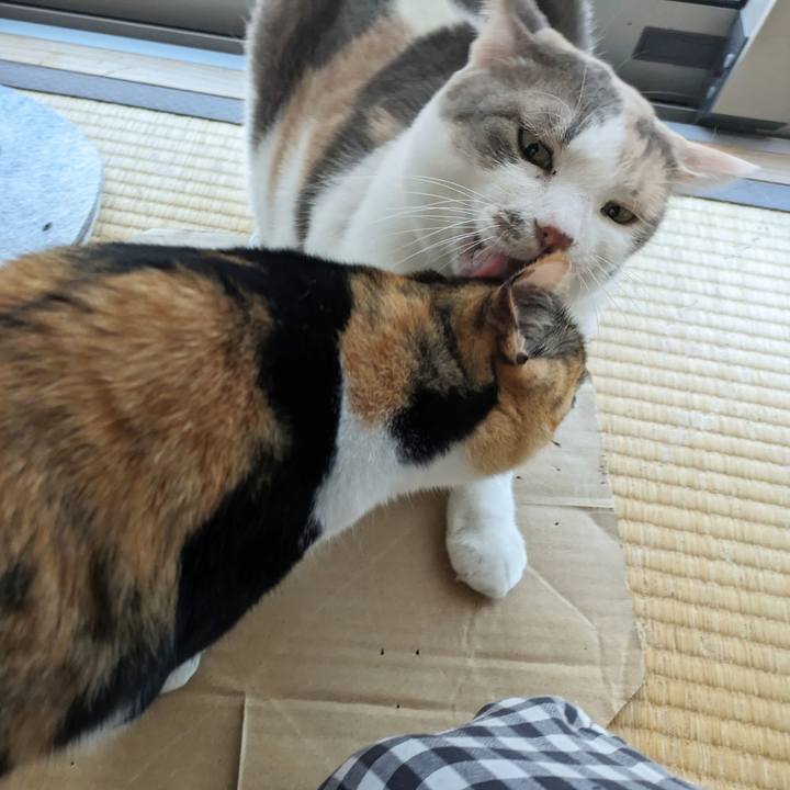 3a5ca891 586f 4712 b01e 6d9dbc44caf2 1700889984424