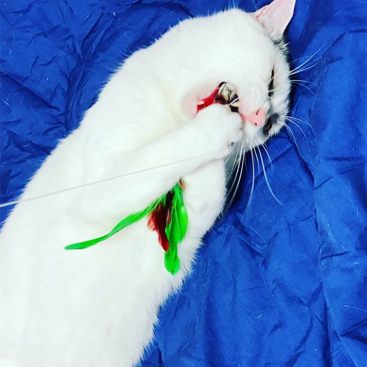 3a5d003a 38c8 4026 9979 fcafd05eb476 1622709481731