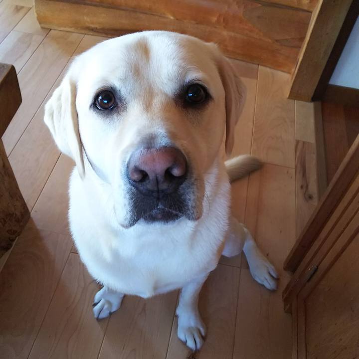 3a5d18fe 3129 42cb 9291 62c2aa46024c 1535254300952