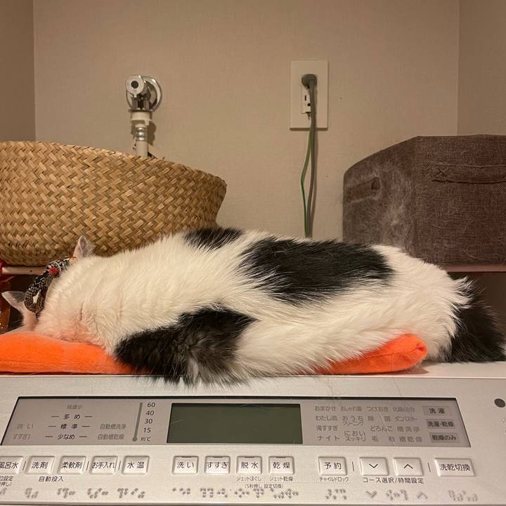 3a5d385d 7b91 4950 8000 33d0a045def7 1757936681312