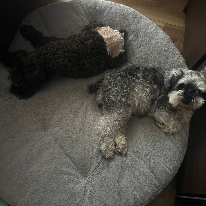 3a5d4fc0 7b6b 4123 b204 cd4caa5855db 1725077927098