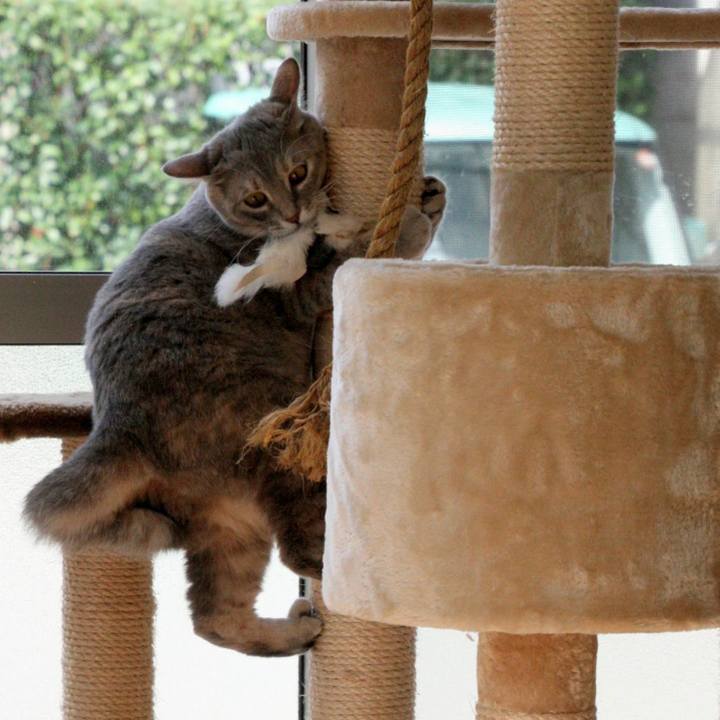 3a5d6d96 565f 4ee3 9da2 719d3be3f77e 1508941679573