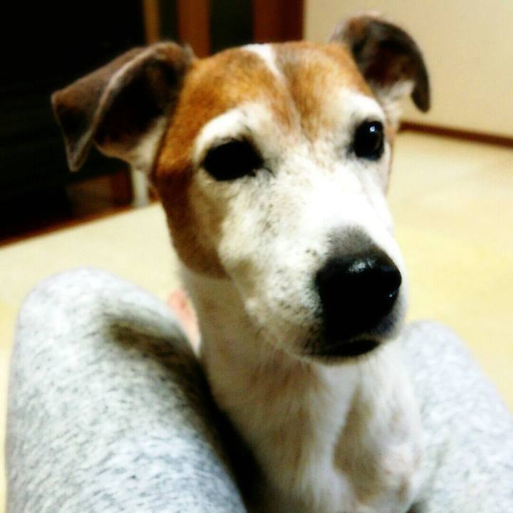 3a5dc655 a89a 4b34 a8f0 7be861a1c380 1517495609775