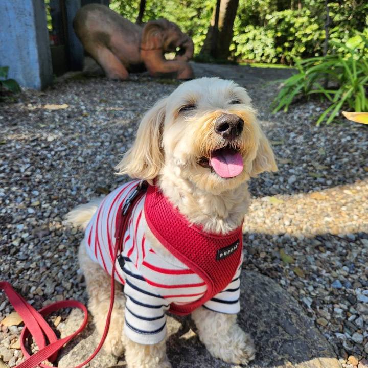 3a5e086b 8165 48d3 bed1 088894777e7e 1773724001161