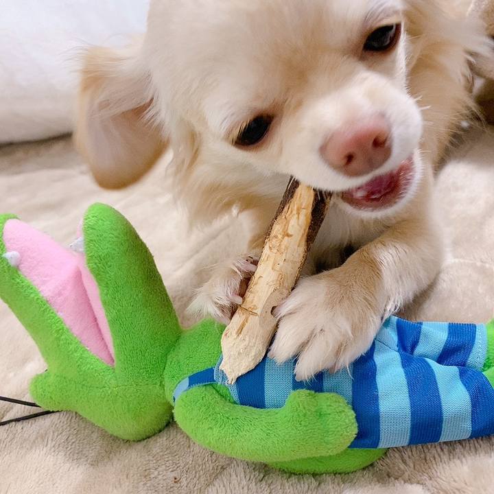 3a5e2caa e67b 47eb b747 b71cd1ce05c3 1615974365479