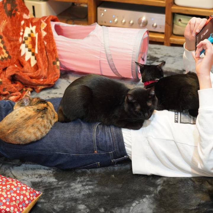 3a5e3081 eabe 4f5e aa4f 900582ee3045 1577752715861