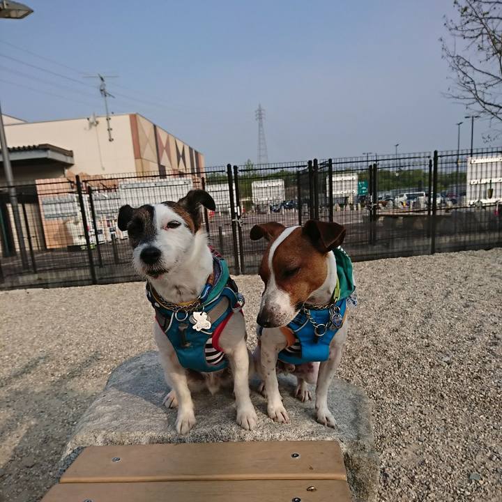 3a5e53c2 7589 4f2c aa5e d0e290129988 1555885046209