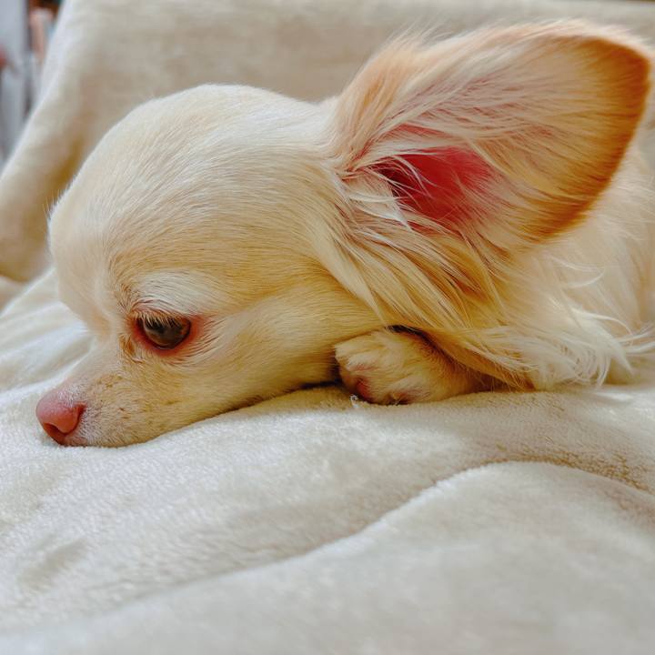 3a5e63c8 6de8 4b19 9cfe 64adc307be90 1650603470183