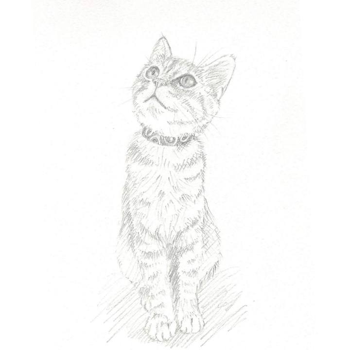 3a5e677a 7da1 48bc bb64 55f608837fc7 1533105013856