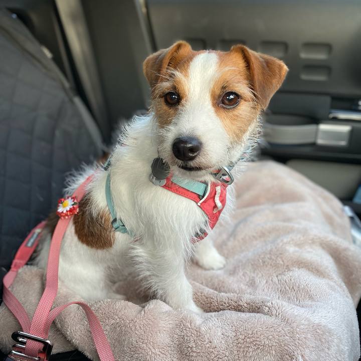 3a5e9b27 3330 4194 9bb0 b1674a0a74a0 1709460626820