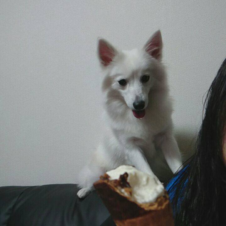 3a5ec38a 5d4b 4a77 a36a 883bf2e10f3c 1510583483305