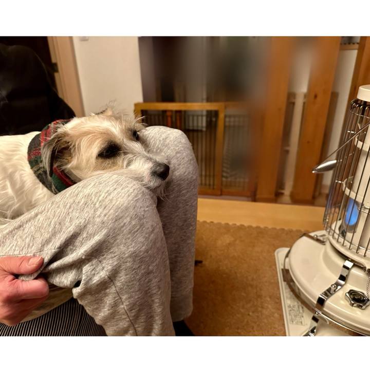 3a5ed730 aa7a 43f9 bc93 b655de3b4e85 1707138487700