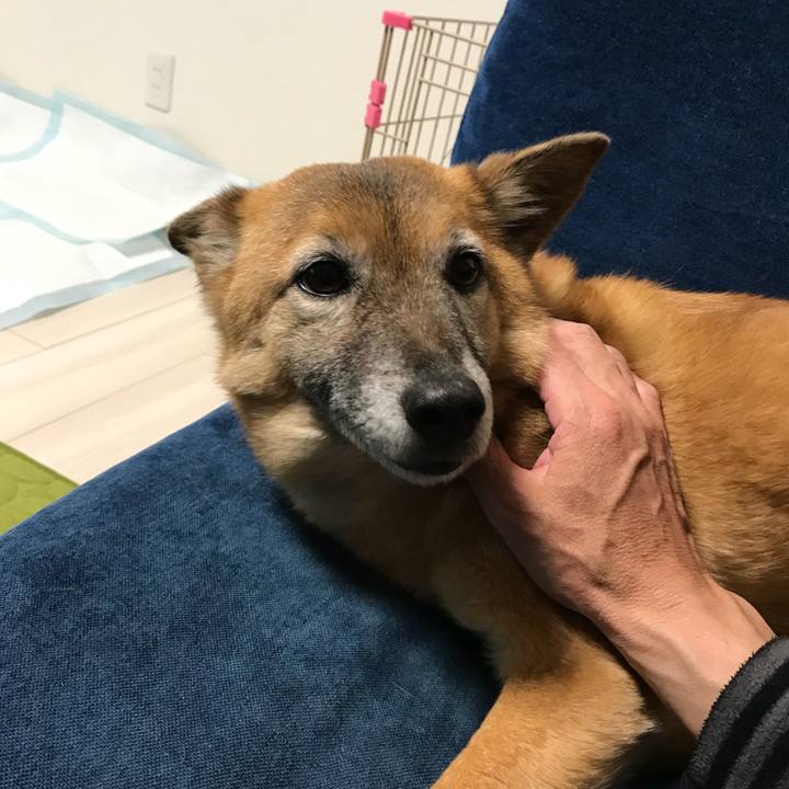 3a5ee585 f0e5 41b5 9442 b264c142028a 1522409977148