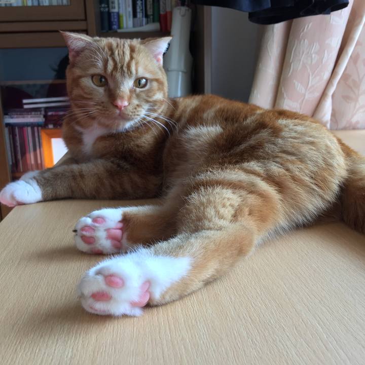 3a5f2b12 87b9 4947 9c29 e73a09ef360a 1520812782457