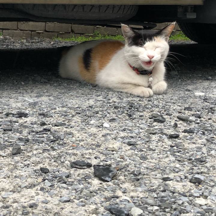 3a5f90c4 00f9 4782 9131 255723aeb2c2 1624659011508