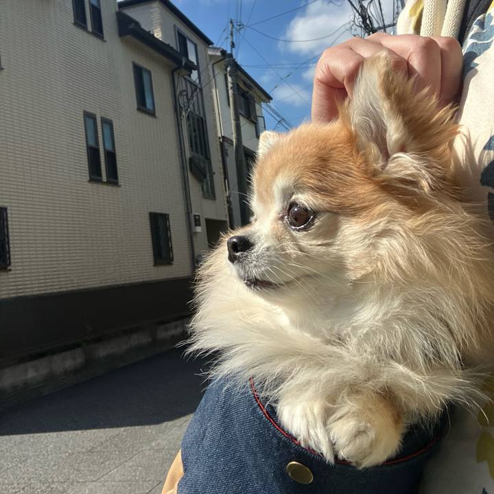 3a5f9577 1238 4861 bfd9 d5ad3ca46810 1760077764576